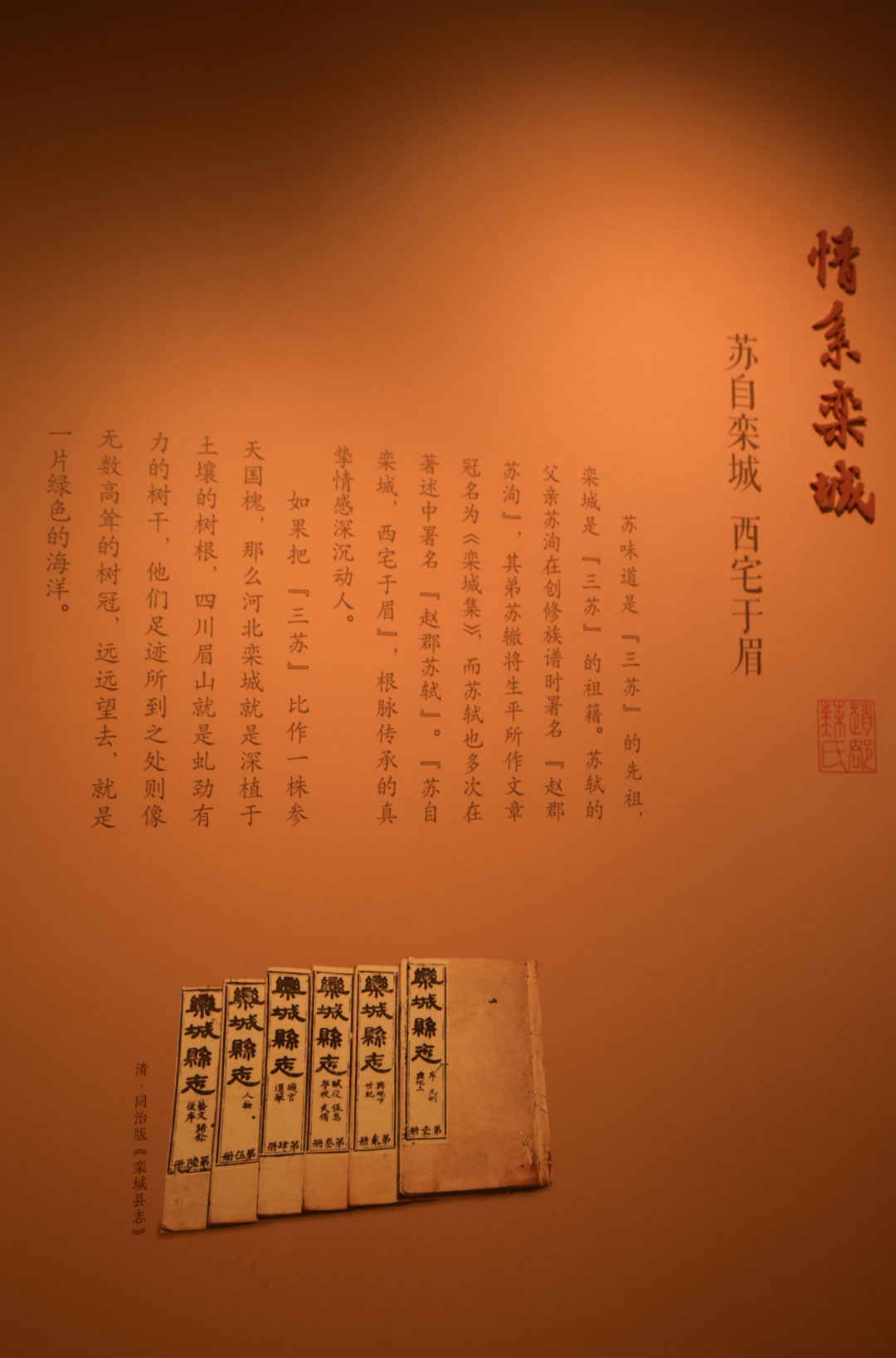 情系栾城