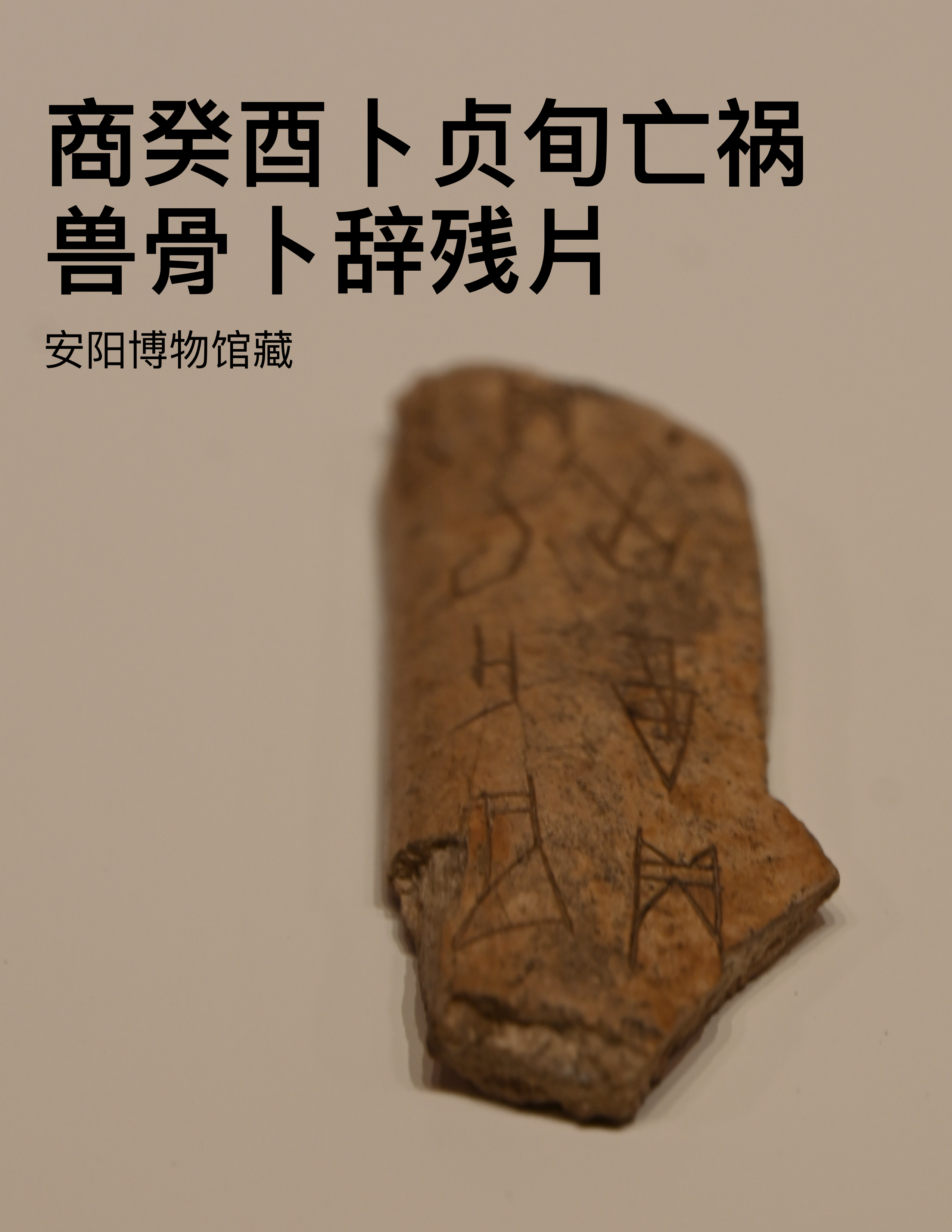 甲骨文